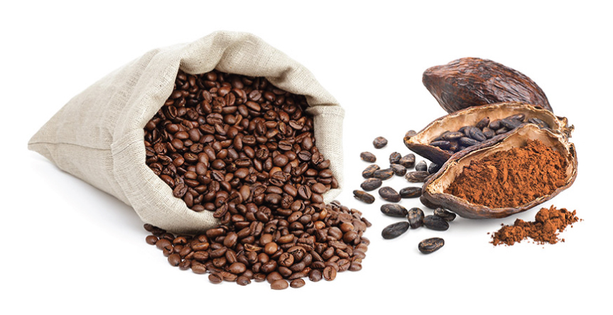 Food Processing - Coffee Cacao Banner