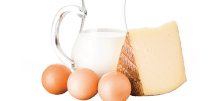 Food Processing - Dairy, Cheese & Egg Thumbnail