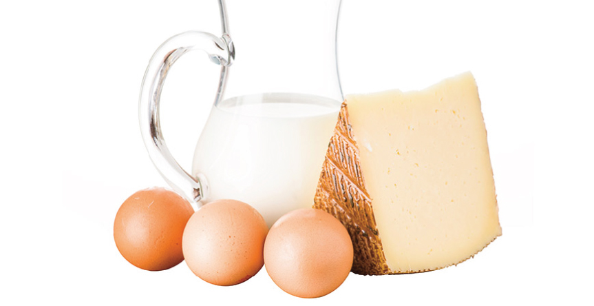 Food Processing - Dairy, Cheese & Egg Banner