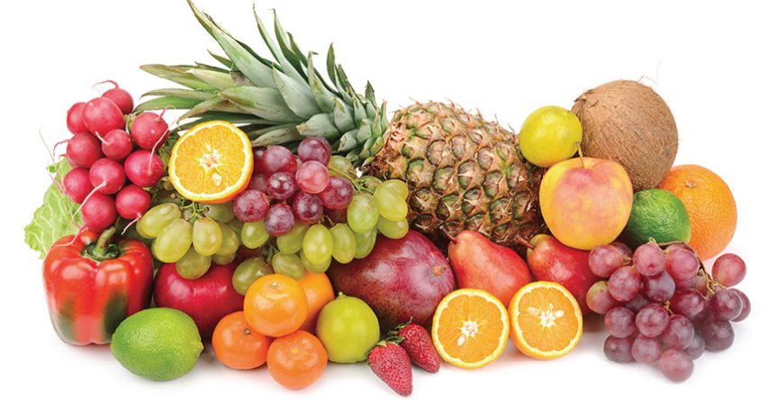 Food Processing - Fruit & Vegetable Banner
