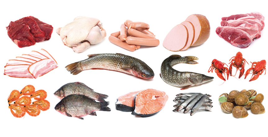Food Processing - Meat & Fish Banner