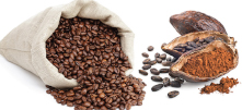 Food Processing - Coffee Cacao Thumbnail