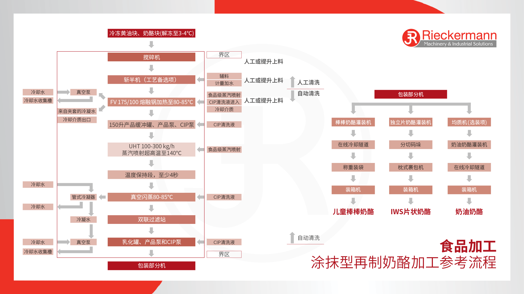 Food Cheese Processing Flowchart in Chinese