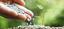 Fertilizer thumbnail